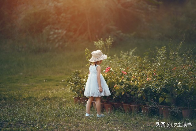 小王子适合成年人看的故事书,小王子一部写给成年人的童话书