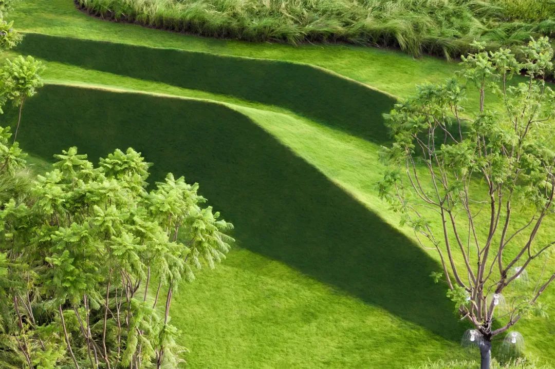 元亩塘公园景观设计,高端公园绿化景观设计