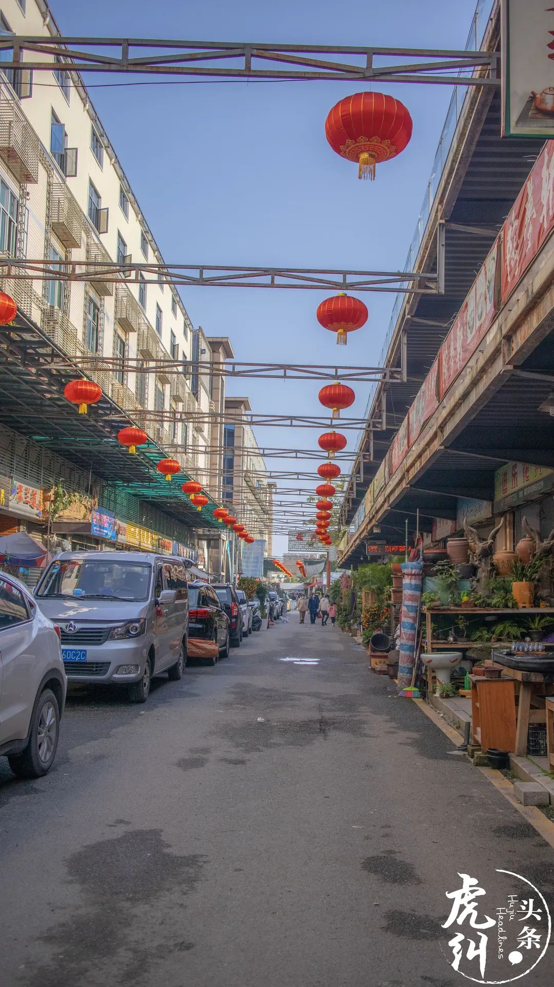福州齐安路花鸟市场营业时间,福州国艺花鸟市场营业时间