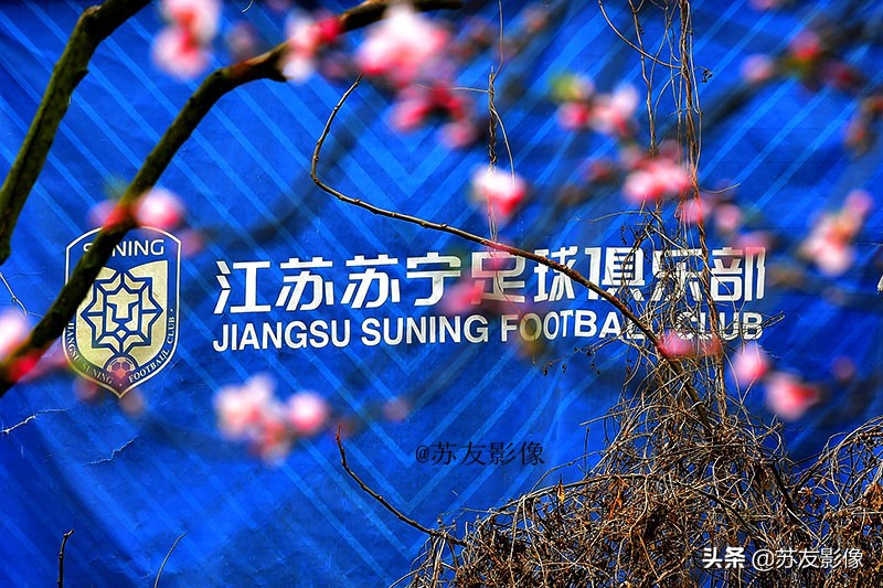 历史上的江苏队（25）：江苏足球暂时告别中国足球顶级联赛