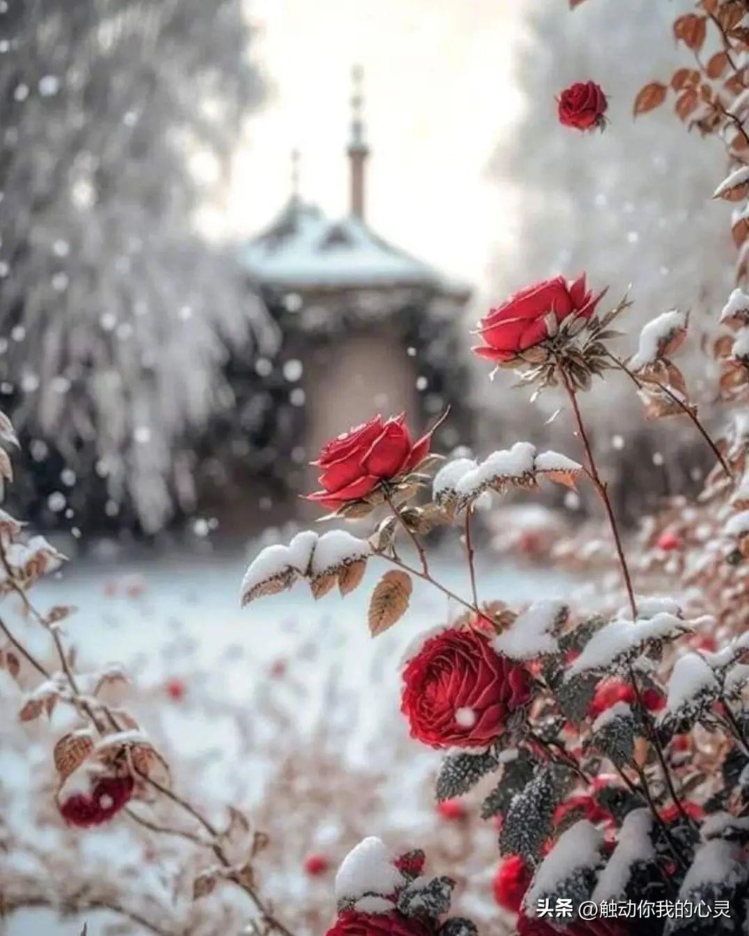 早安逗比搞笑说说,早安搞笑的句子笑死人