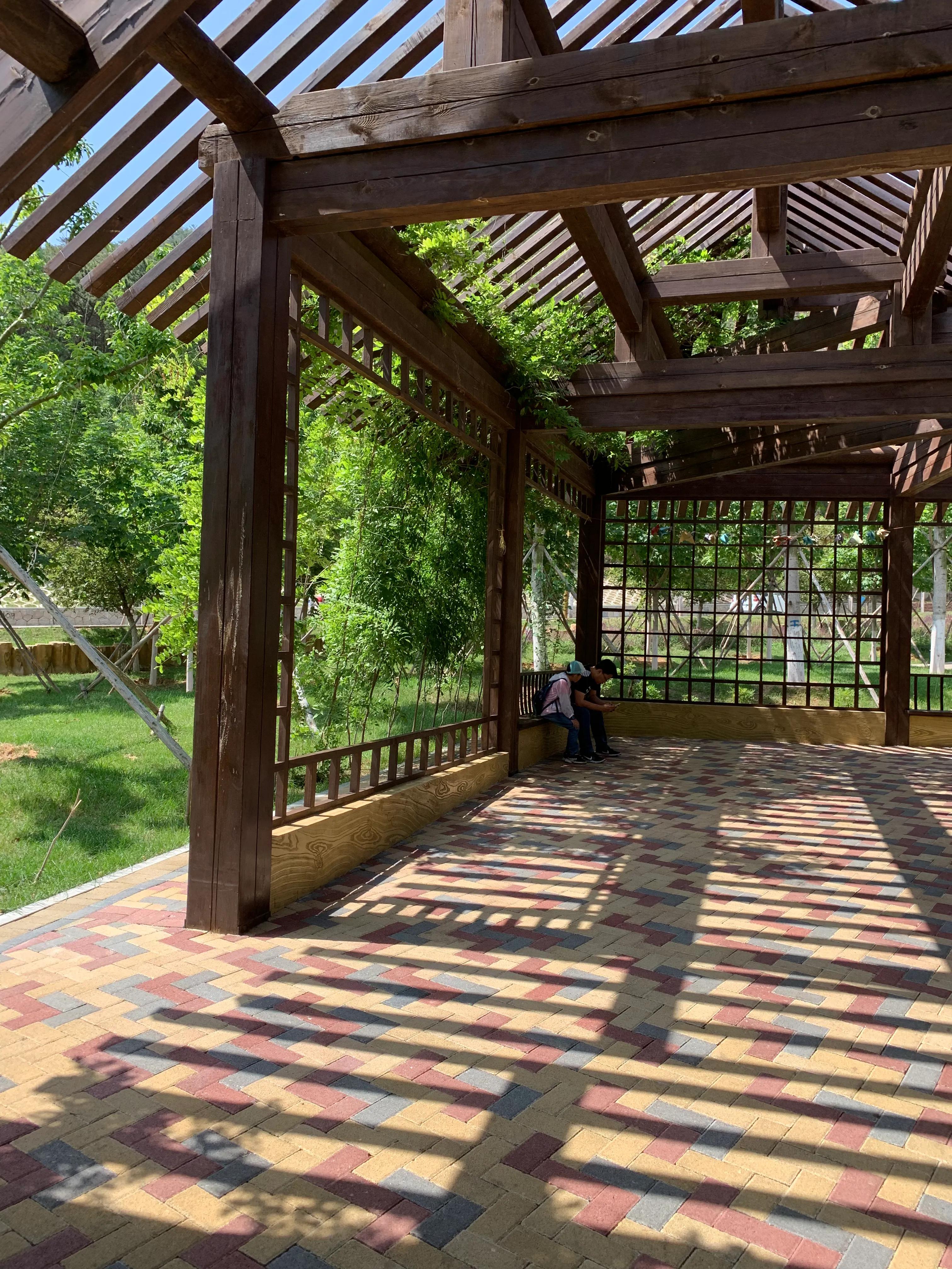 大连动物森林公园旅游攻略,大连森林动物公园旅游攻略