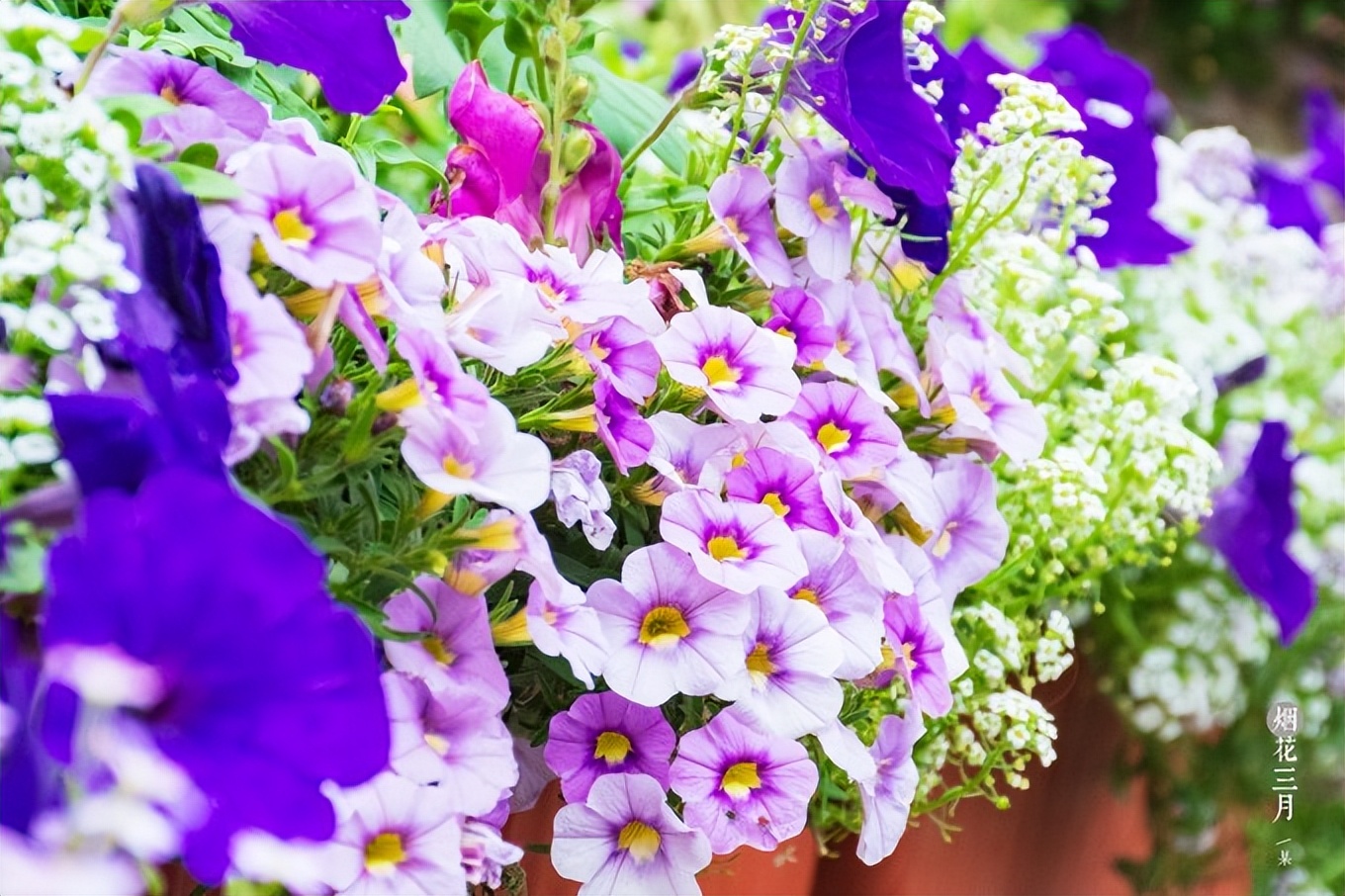 2018年扬州之旅,扬州自由行详细攻略