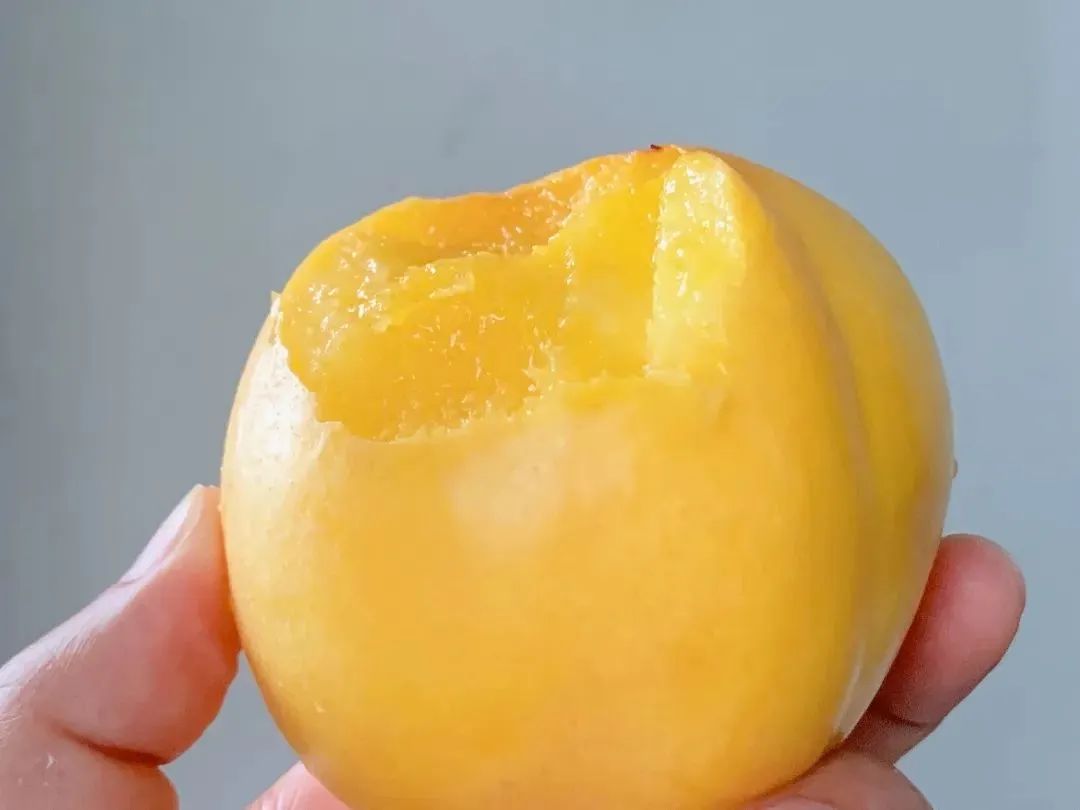 黄金油桃几月上市,山东蒙阴黄金蜜一号油桃