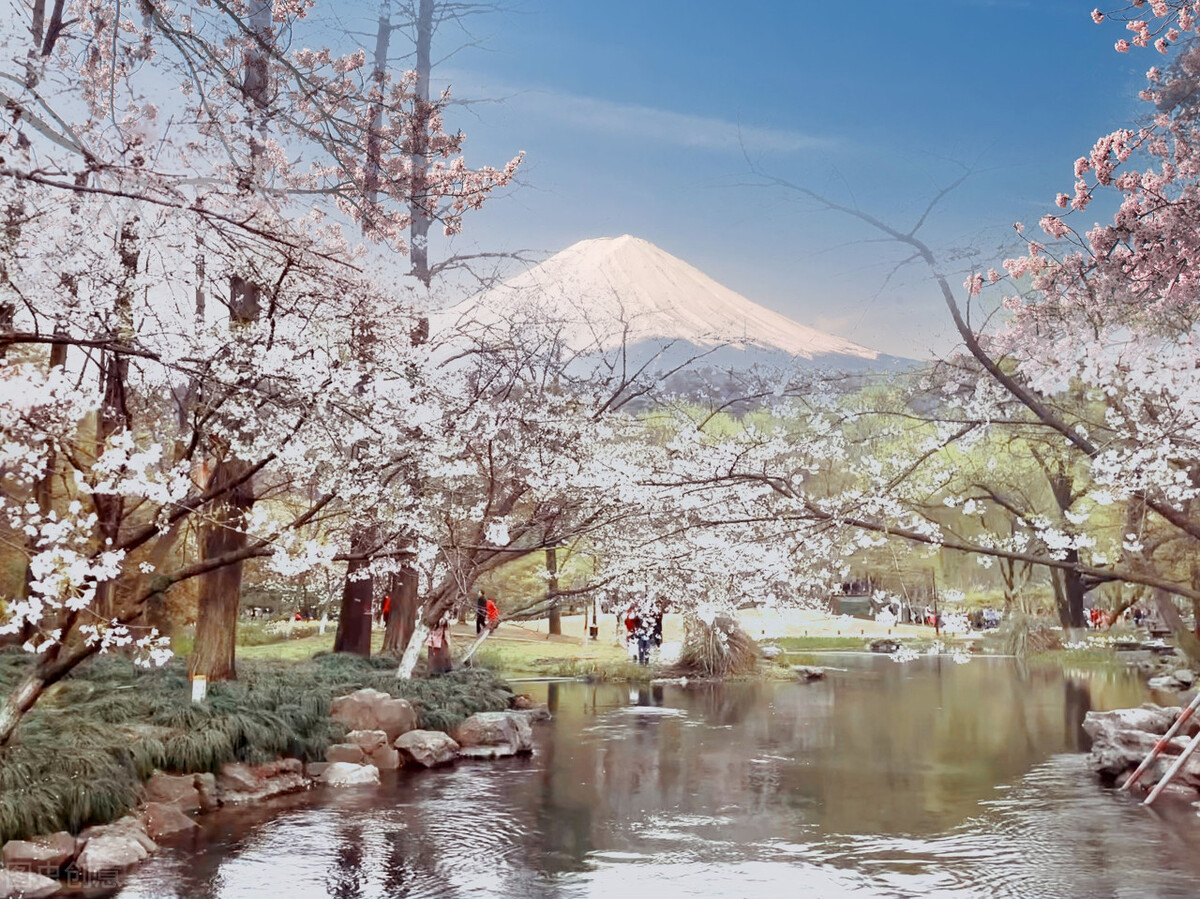 狂妄财阀辛格浩：二婚入赘甲级战犯家族，为美军萨德系统提供地皮