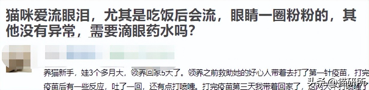 猫咪吃饭眼泪汪汪,猫咪吃饭流眼泪是为什么