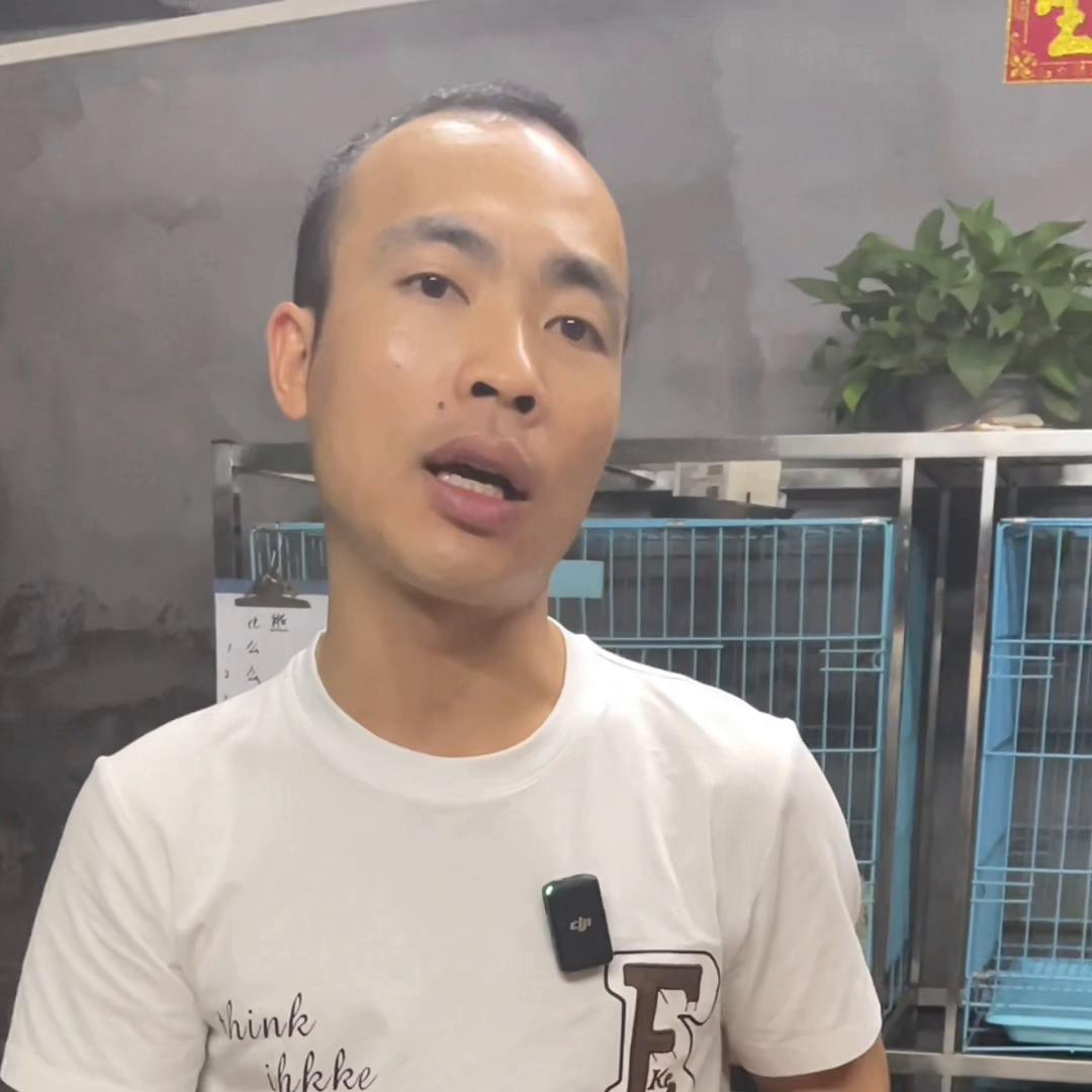 网上买狗被骗就没办法了吗,在网上买狗怎样才不会被骗