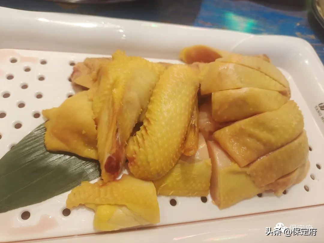 保定猪肚鸡哪家店好,保定肚包鸡哪家最好吃