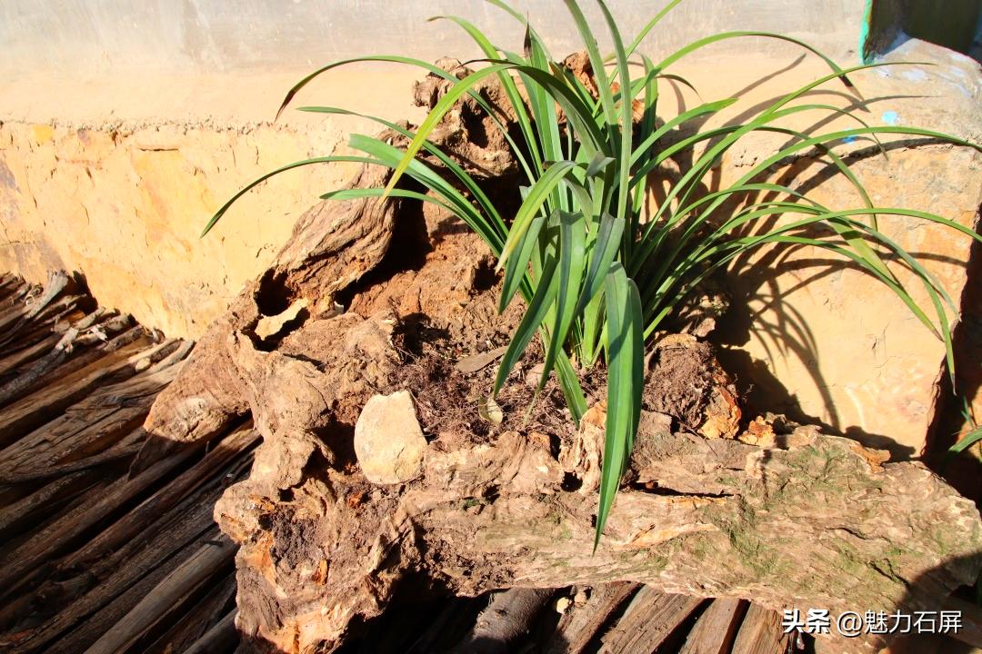 石屏哨冲拖黑村,哨冲镇拖龙黑村图片