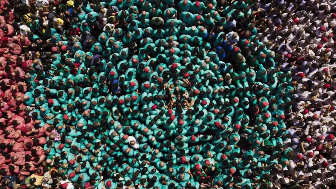 原来它们也有“性丑闻”，这片看完让我大开眼界