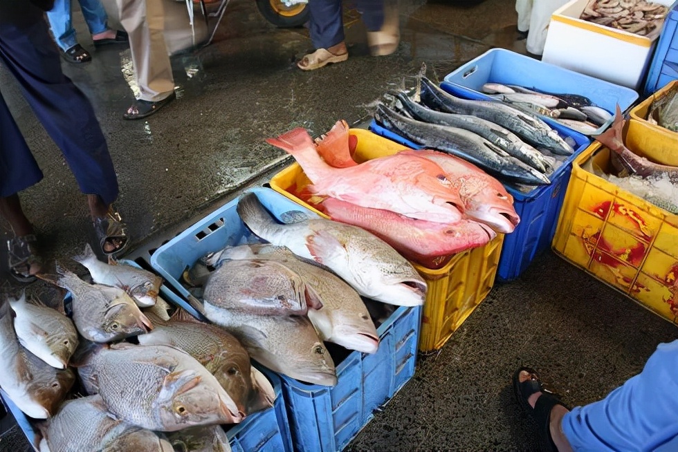 华人在迪拜的奢侈生活,迪拜的消费到底有多高