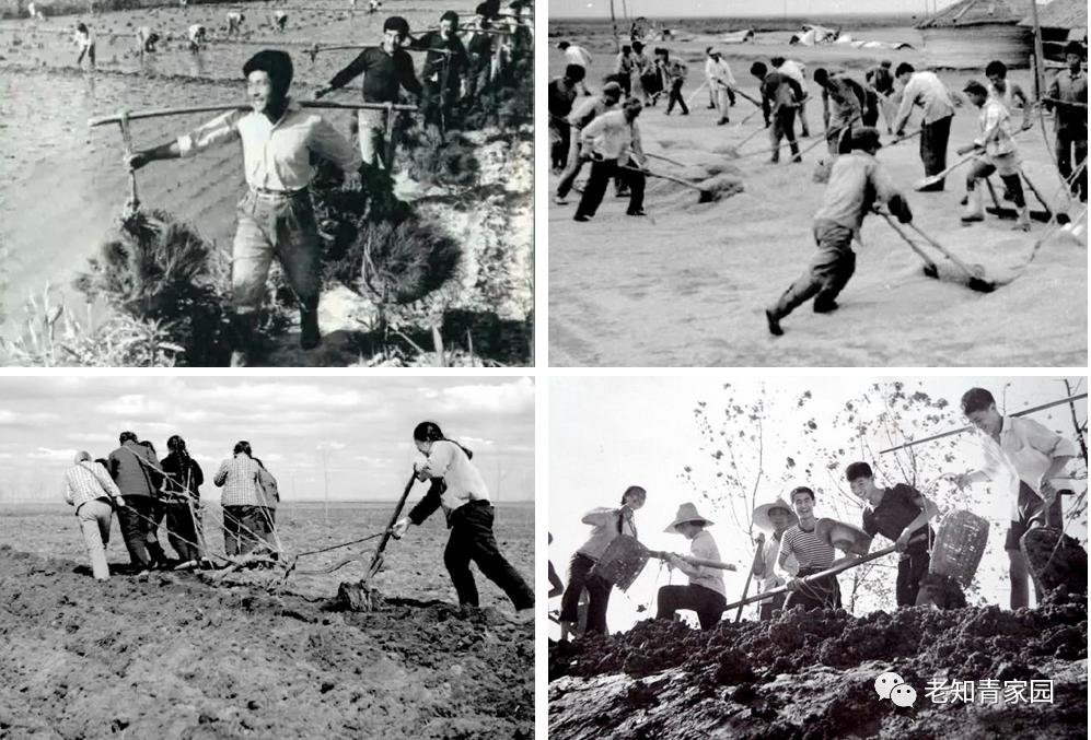 记录60年代真实中国生活,50年代百姓生活的真实影像