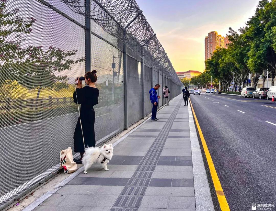 封关600天，他们在深港边境团聚，相隔97米