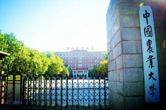 谁的毕业论文在乱跑啊,谁的毕业论文在乱跑