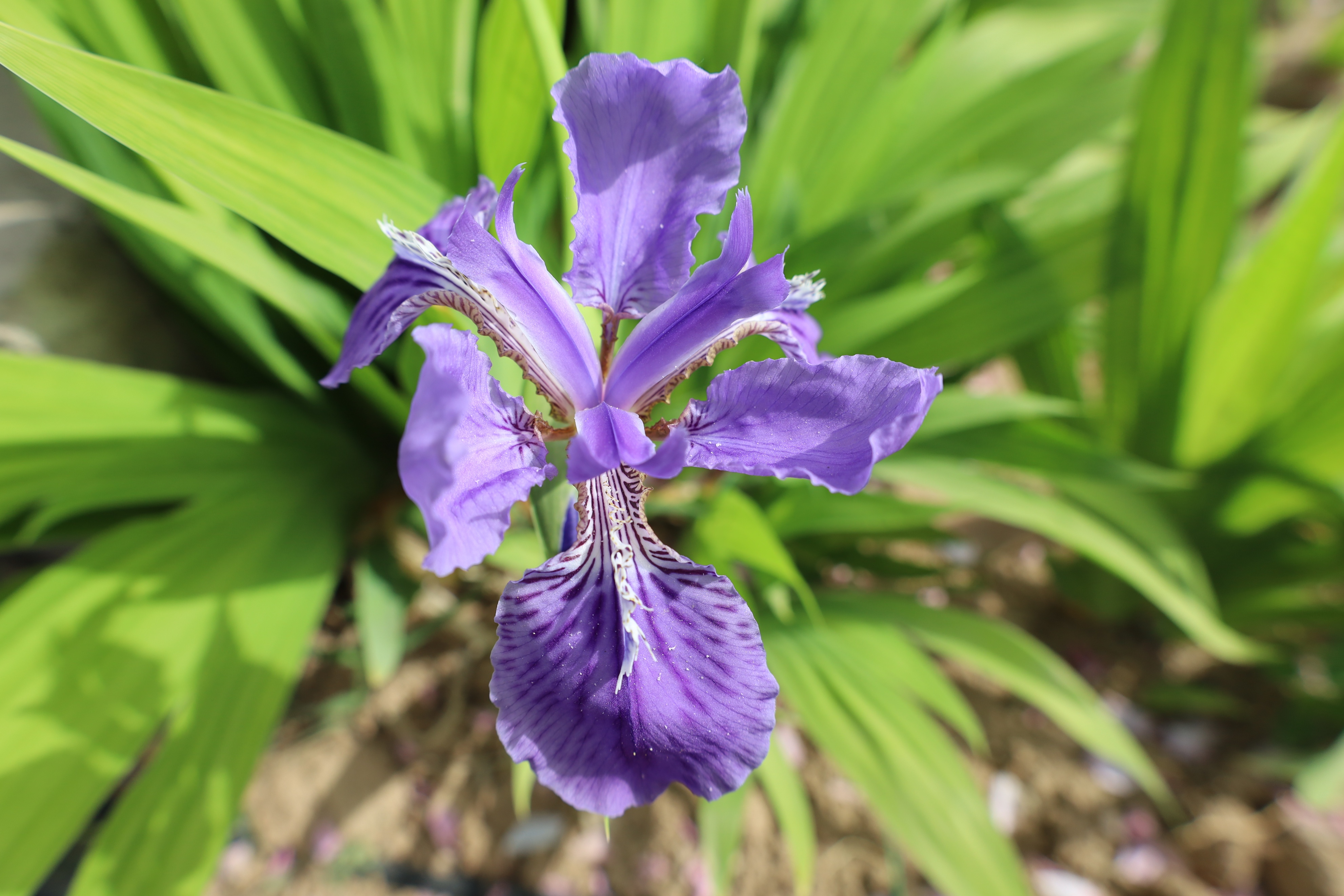 什么是最值得买的相机,哪个品牌的相机最值得买