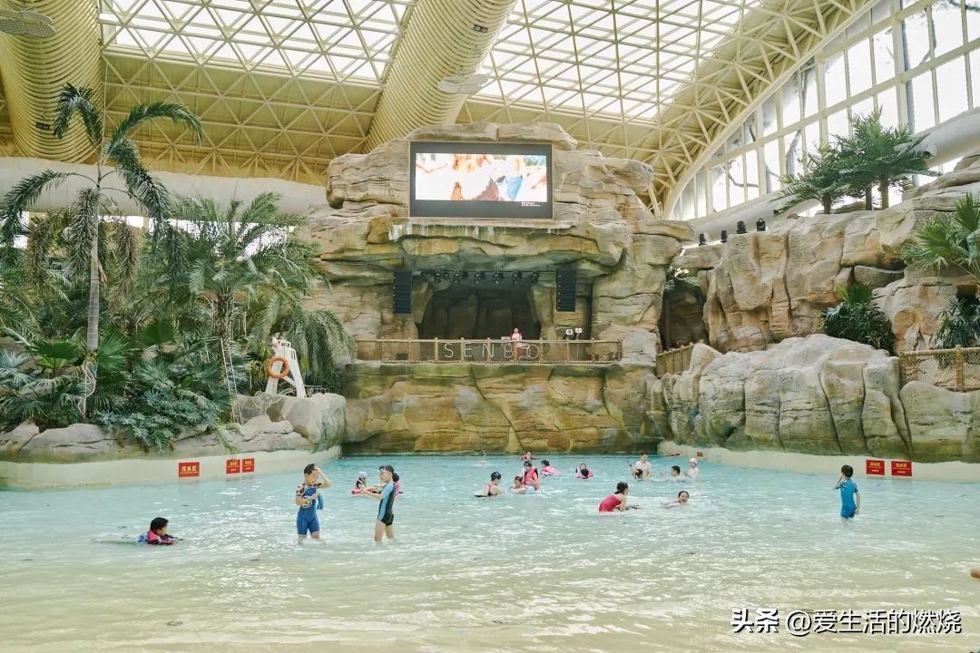 杭州森泊开元度假酒店不含门票,杭州开元森泊度假酒店存在的问题