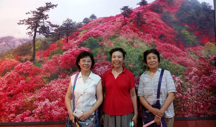 姊崇悊鍘嗗彶鑴夌粶杩藉鏂囧寲鏍硅剦,姊崇悊鍘嗗彶鑴夌粶