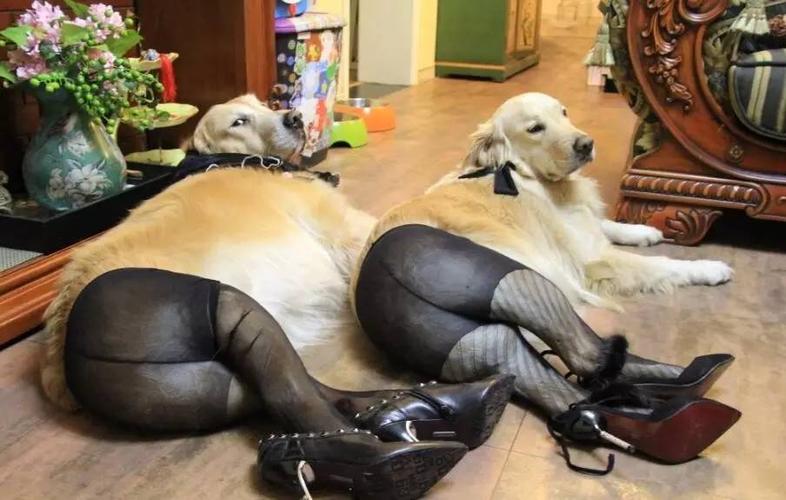 男性对*袜丝**着迷，就是心理变态吗？提醒：出现这3种行为，请克制