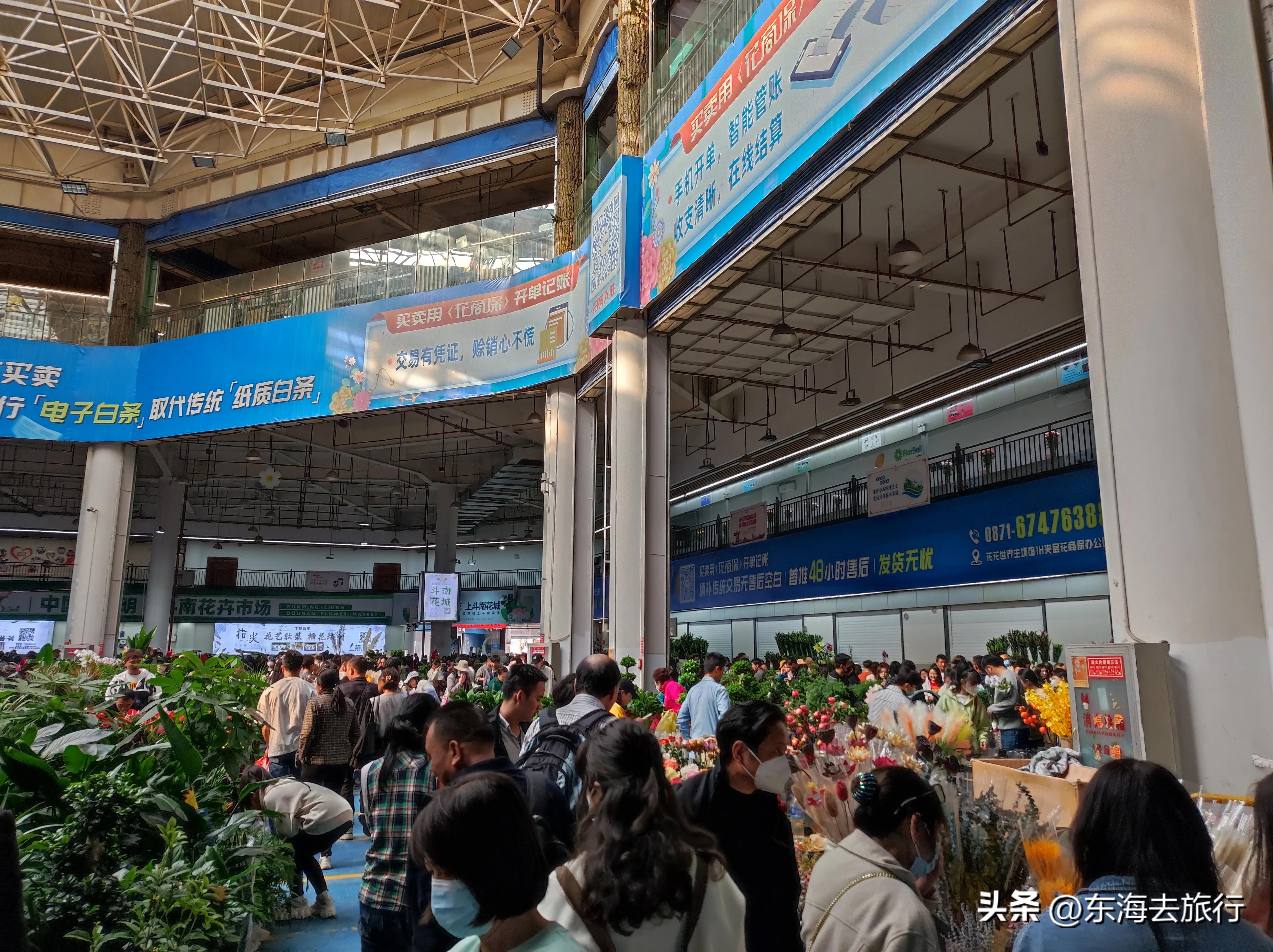 云南昆明小众旅行地方有哪些,昆明周边带孩子好玩的地方免费