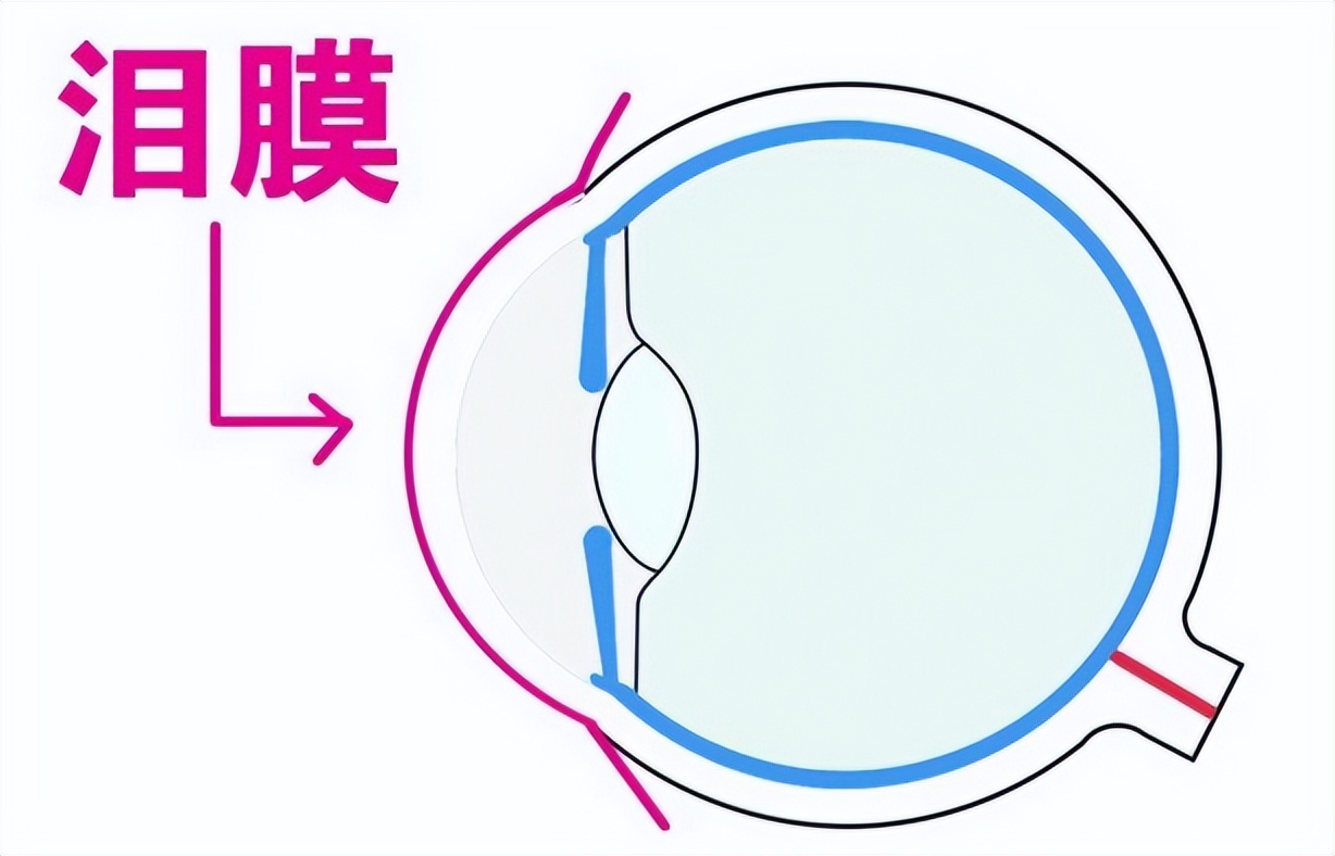 干眼症是什么绝症原版,干眼症是绝症么
