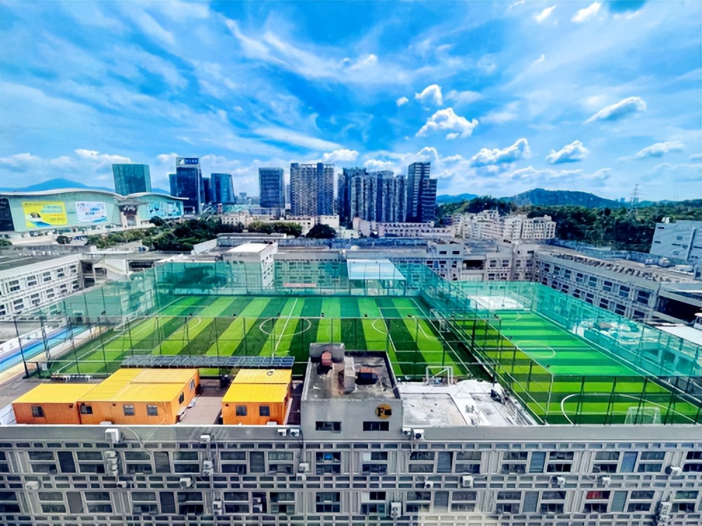 楼顶天台改造成菜园,楼顶改造成为大型生态农场