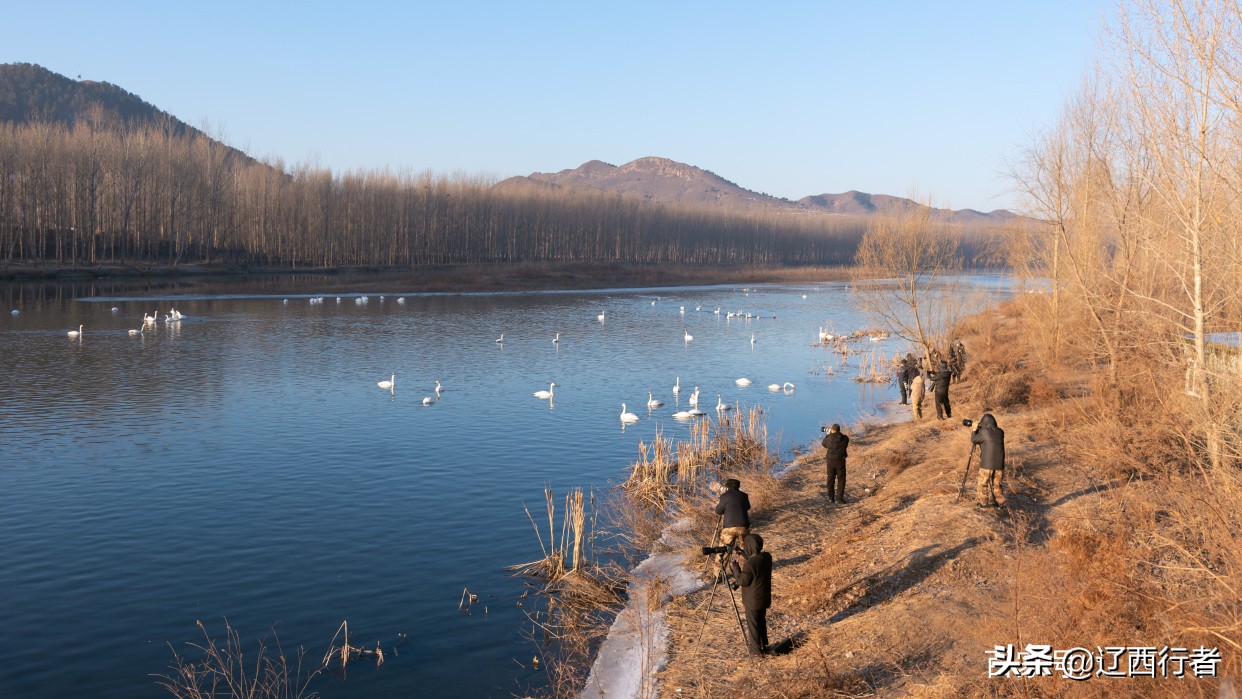 漫步天使乐园(旅拍)