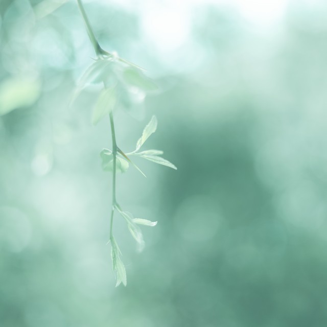 十二星座七月要注意的事,十二星座七月注意事项