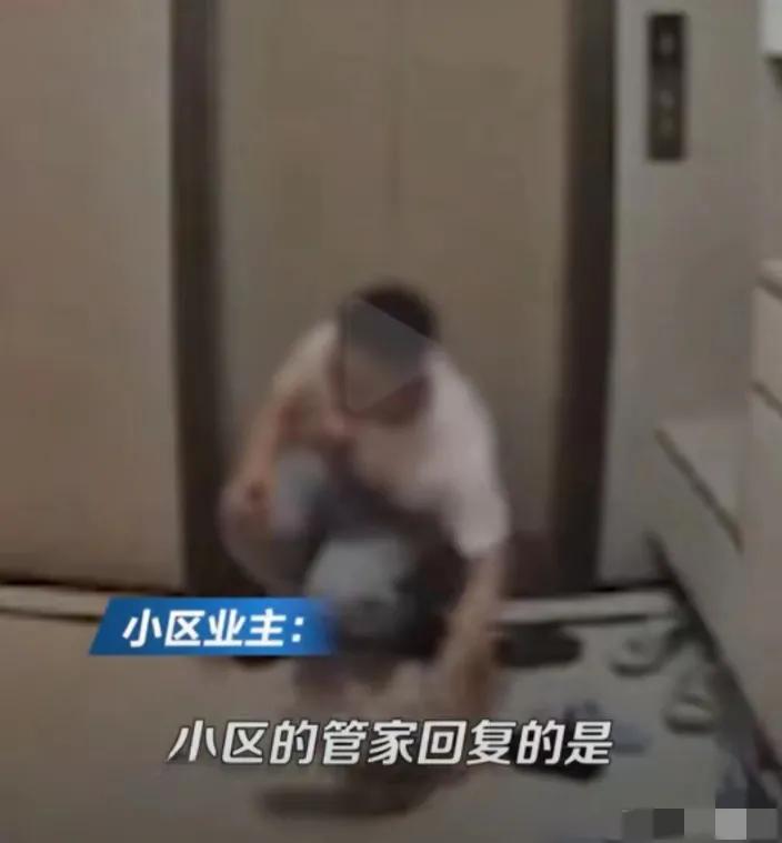 男子进居民楼舔女住户高跟鞋,小区保安偷舔女业主鞋子后续