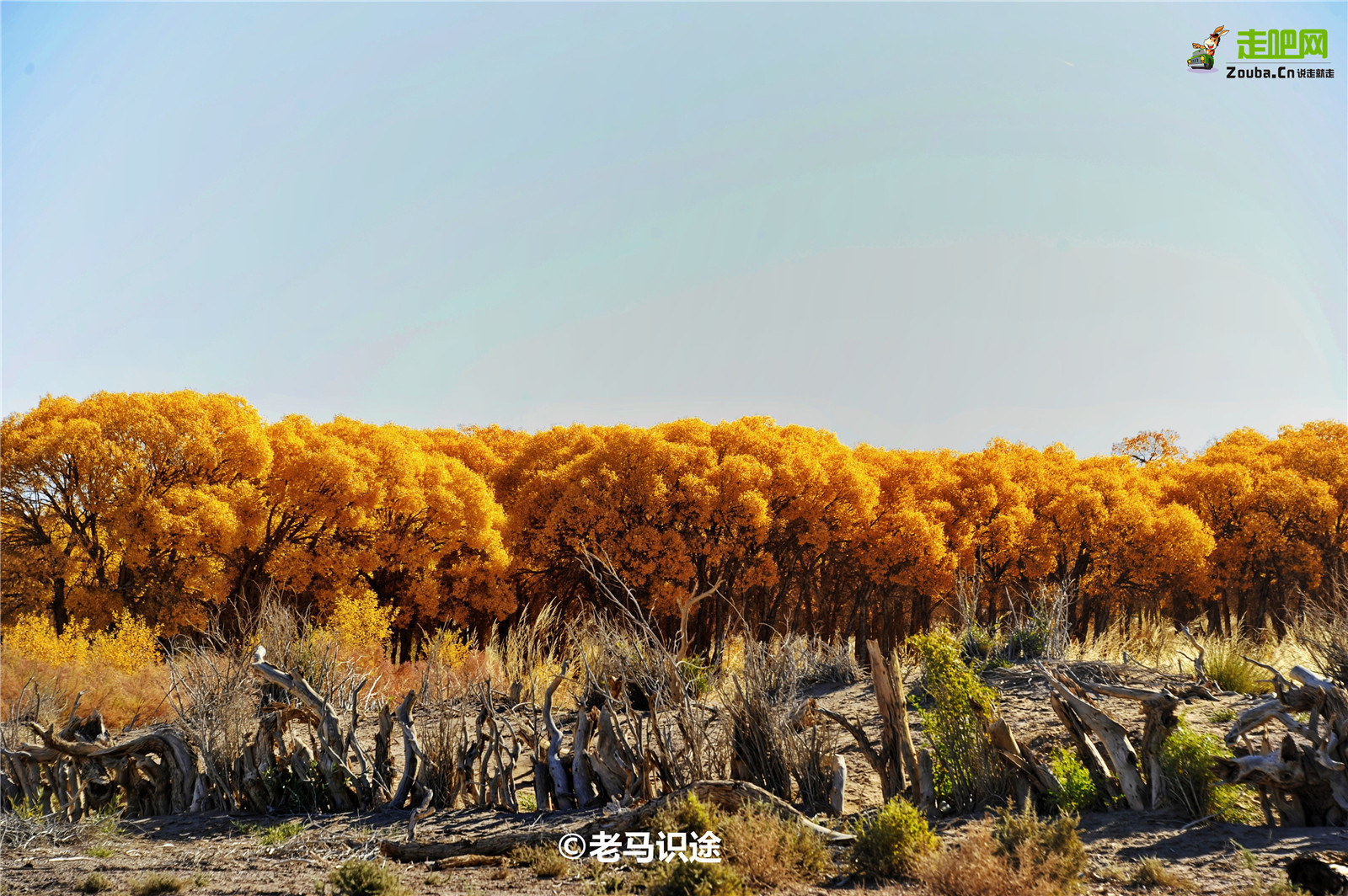 四明山赏秋最佳自驾路线,10条最美旅游线路