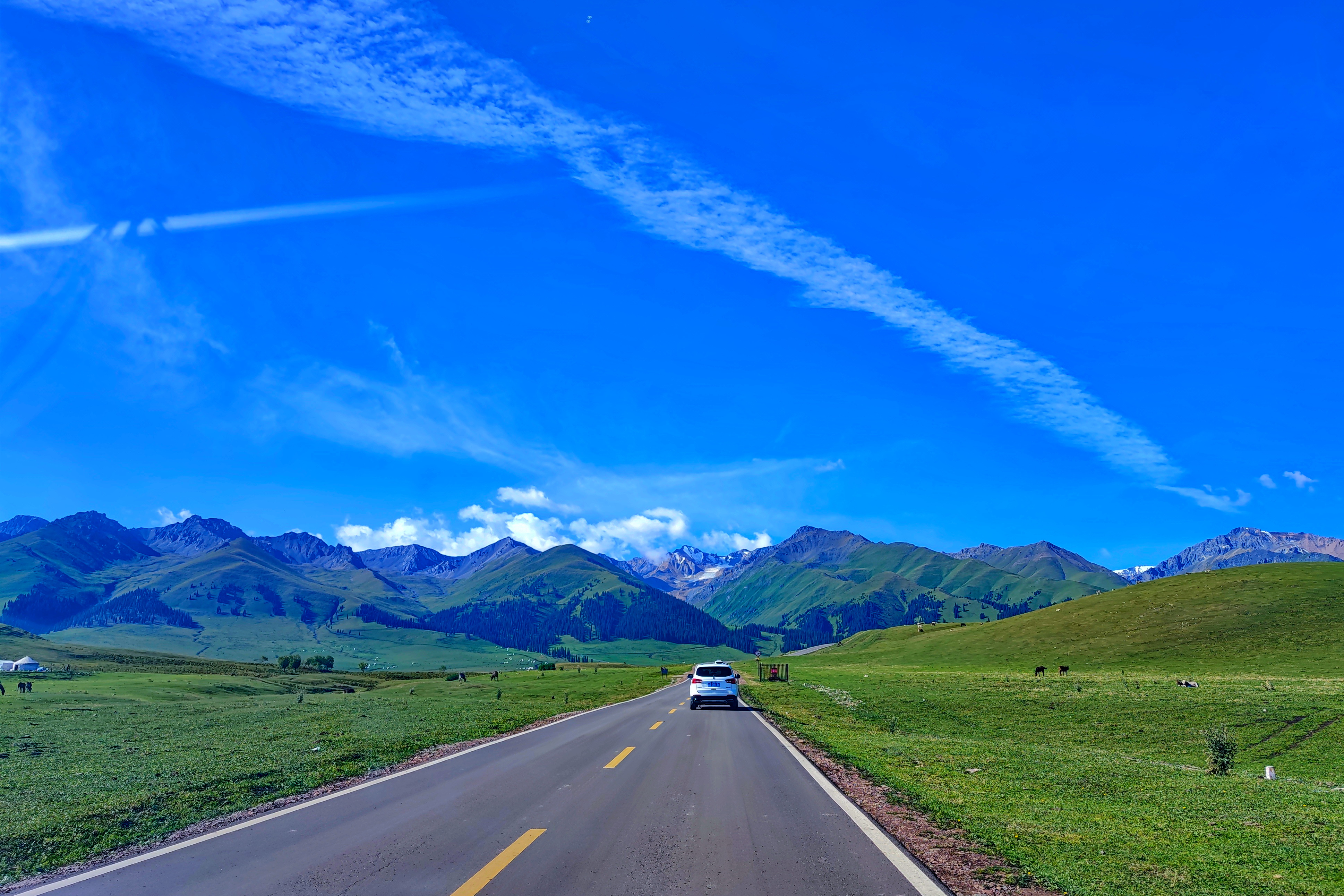 伊犁那拉提草原玩的有啥,伊犁那拉提草原是几级旅游景点