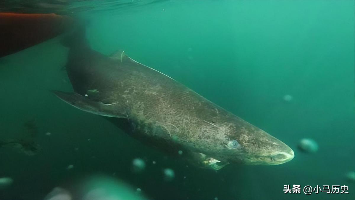 李莲英怪癖,太监李莲英为何深得慈禧恩宠