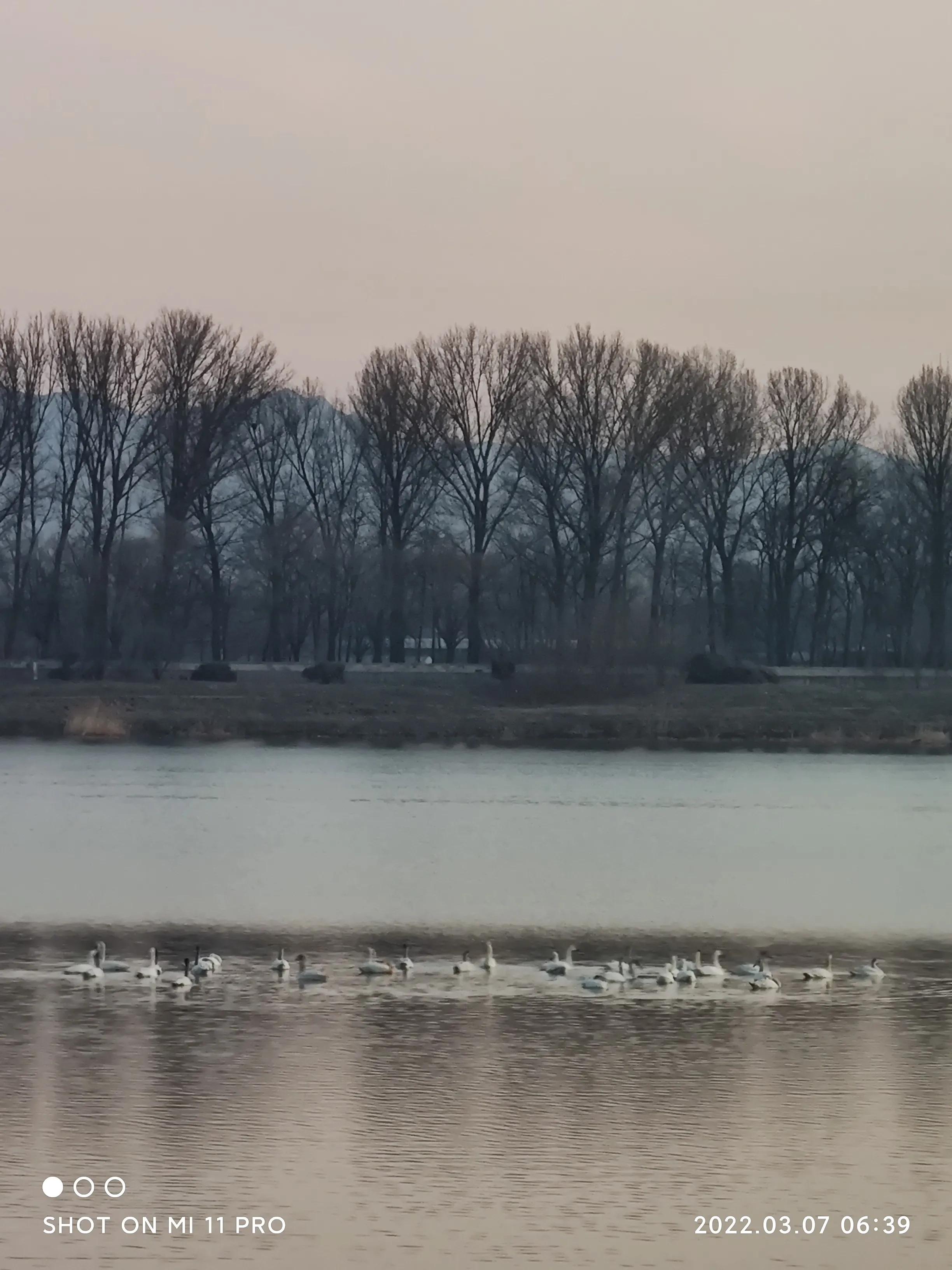 北征北纬南征南纬,北征南战全文