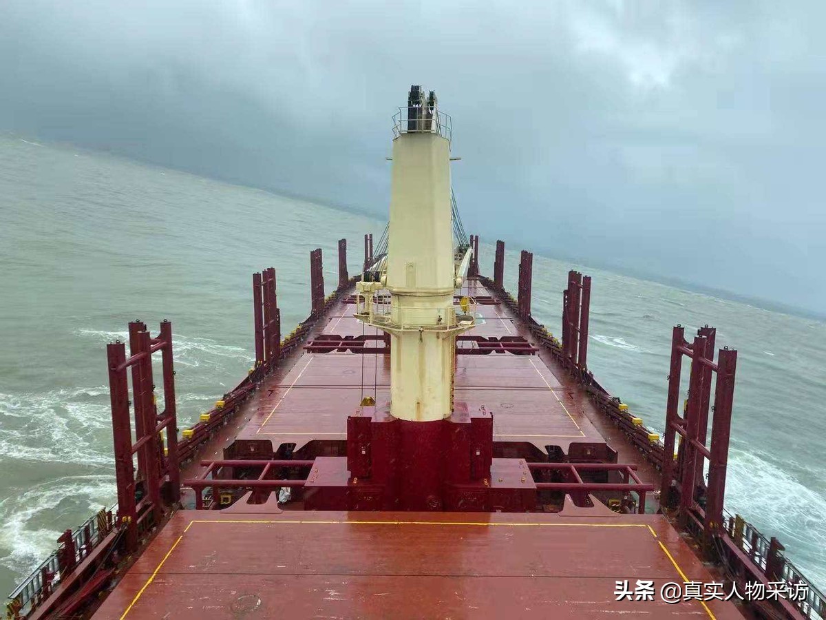 我，90后海员，航行5万海里，下船后回家乡放羊，赚得比海员多