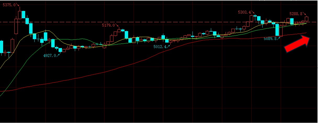 普涨行情反而一直亏钱,普涨行情真相揭秘