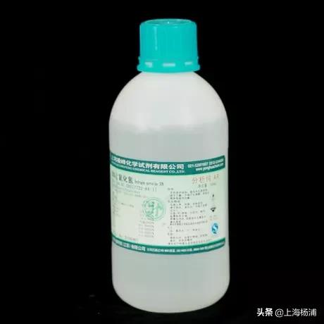 动手做一枚“叶脉书签”吧，好看又实用！【春节宅家手工】