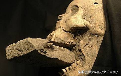 电影中的吸血鬼真的存在吗,吸血鬼起源的电影