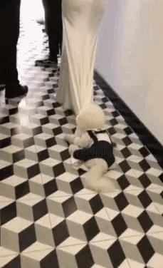 想穿这样的衣服还怕别人看见吗,穿这样的衣服出门真的不尴尬吗