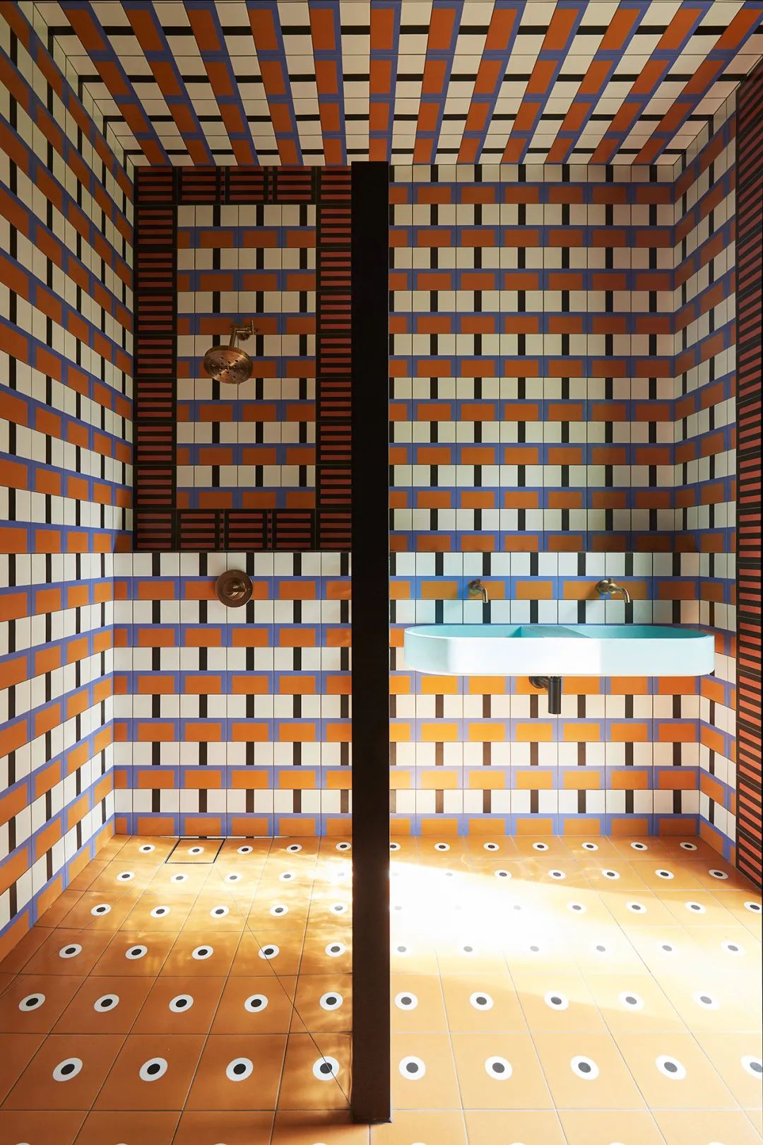 他们把家搬到了森林里，一间森林