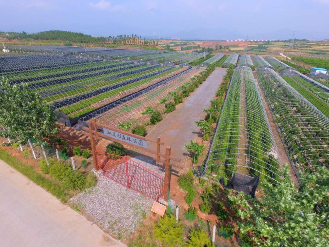 杩愬煄鍐滀笟鏃呮父,杩愬煄鍐滀笟鍙戝睍