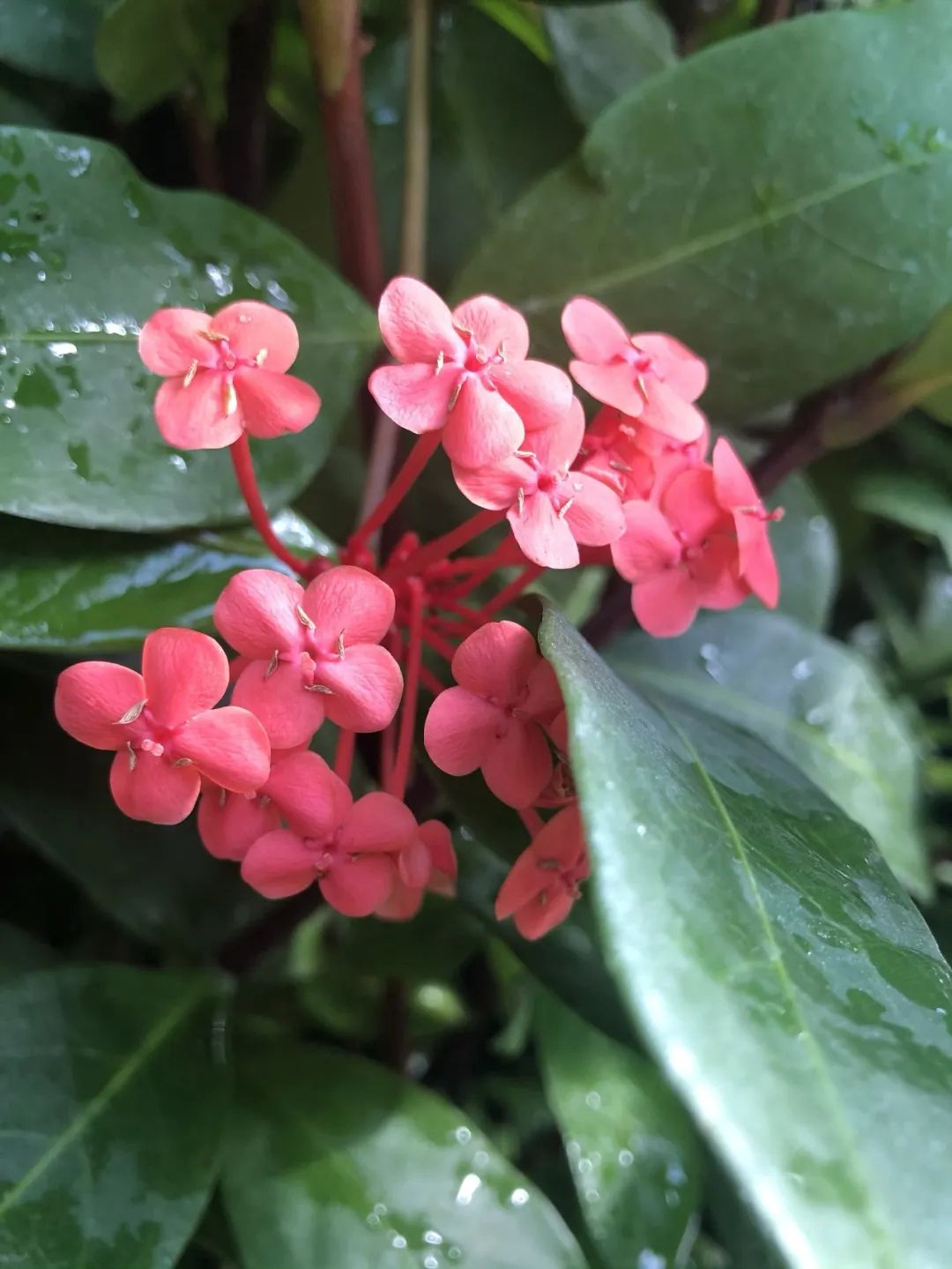 李馨洁：大学生内卷“平时分”有何类型