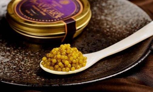 鲟鱼多少年产鱼子酱,鲟鱼顶级鱼子酱