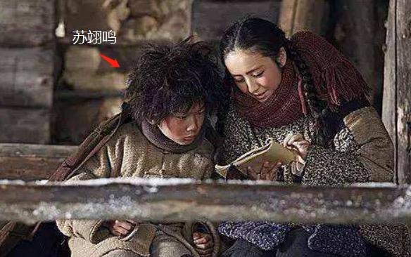 苏翊鸣获得冬奥银牌,苏翊鸣一共获得了几枚奖牌