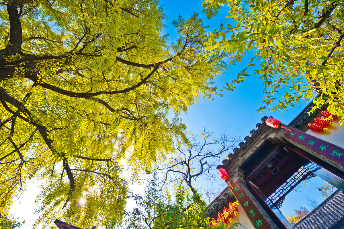 河北磁县名人,磁县县长李杰