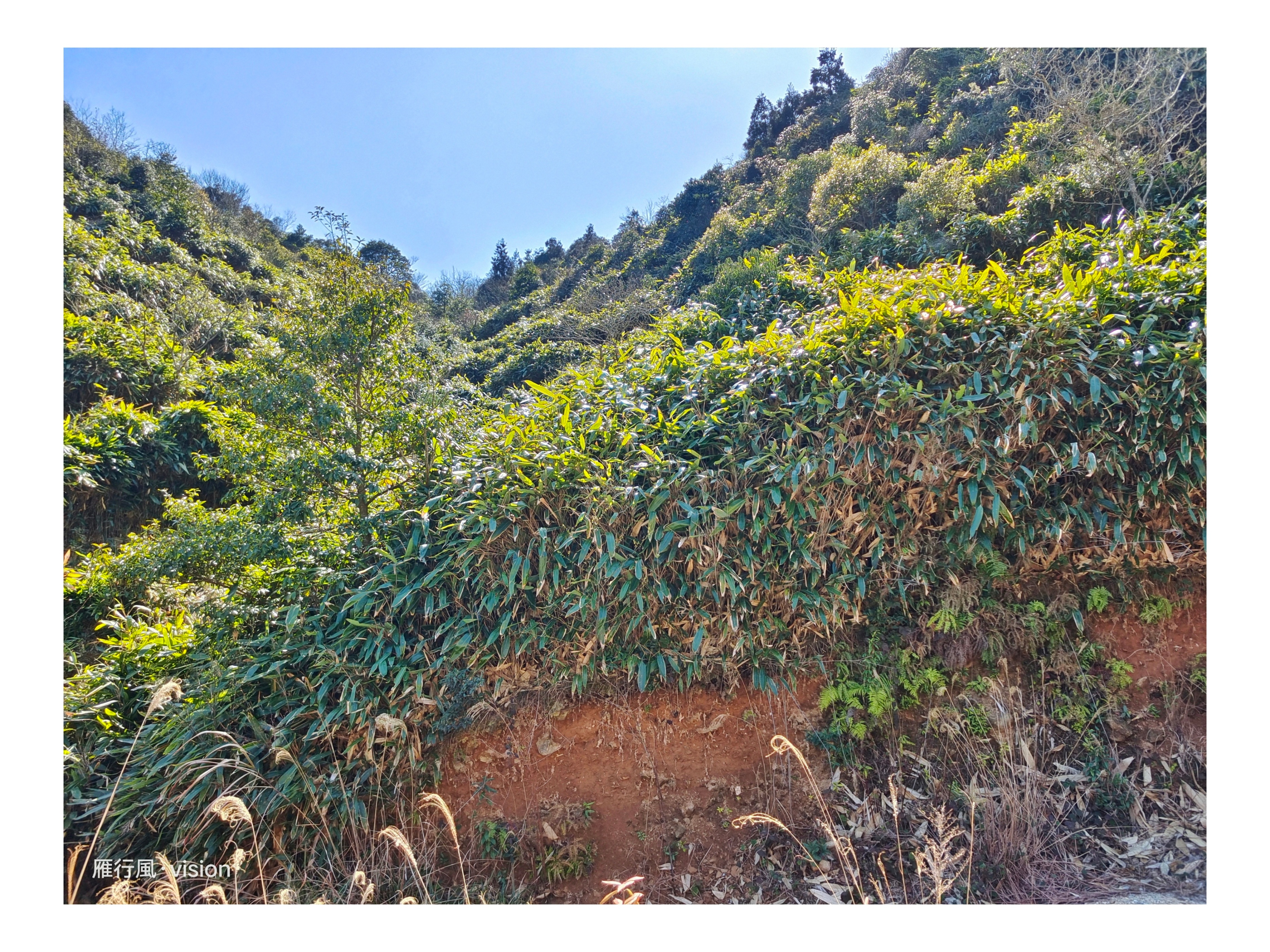 十八渡最新风景,十八渡旅游