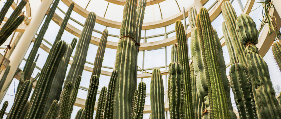 厦门一日游带孩子最佳景点,厦门集美旅游攻略必去景点