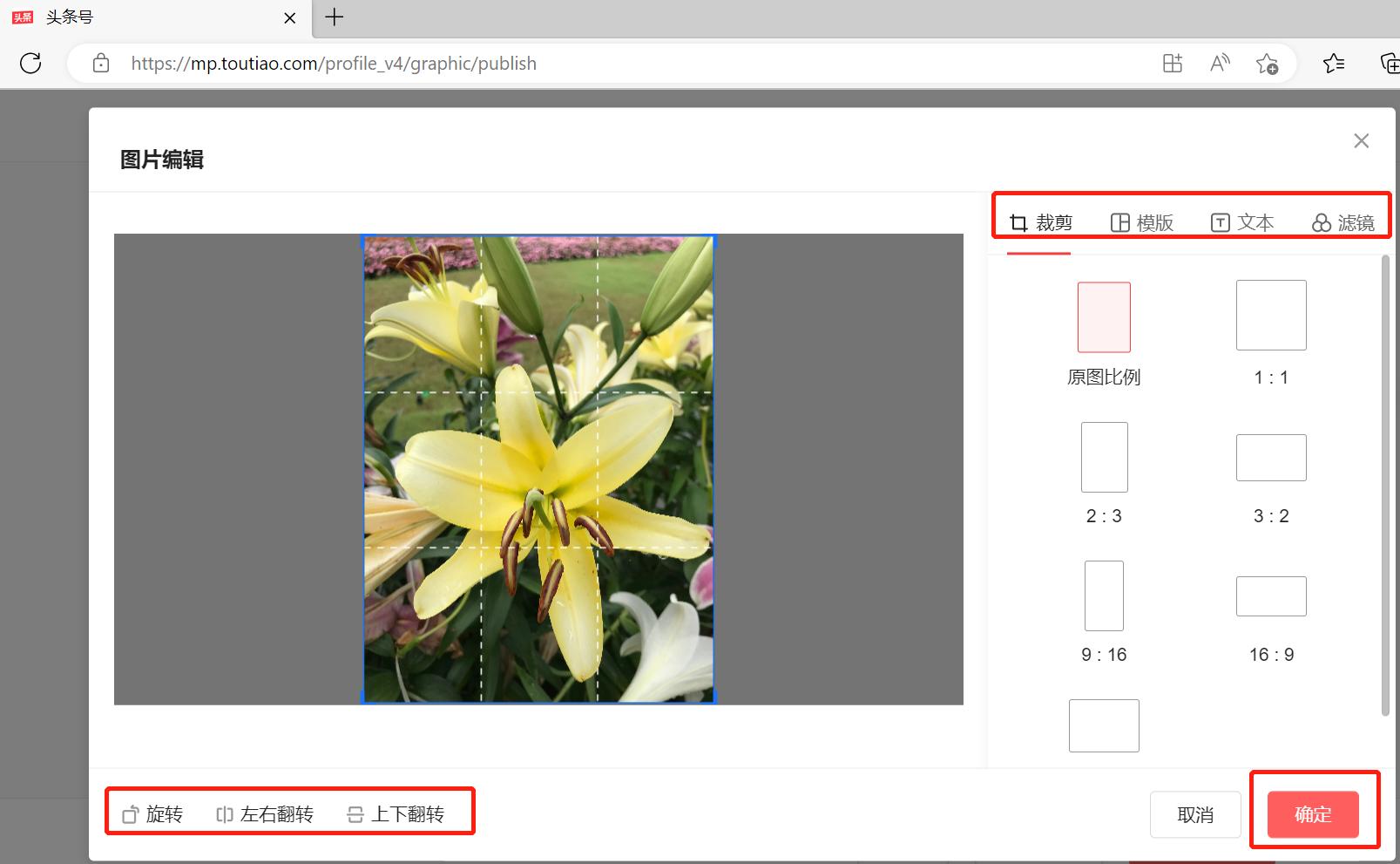 头条文章如何排版对齐,头条原创图文文章排版技巧