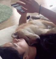 抖音火爆+taptap排行榜第一的躺平游戏,居然夺走了我1小时的人生