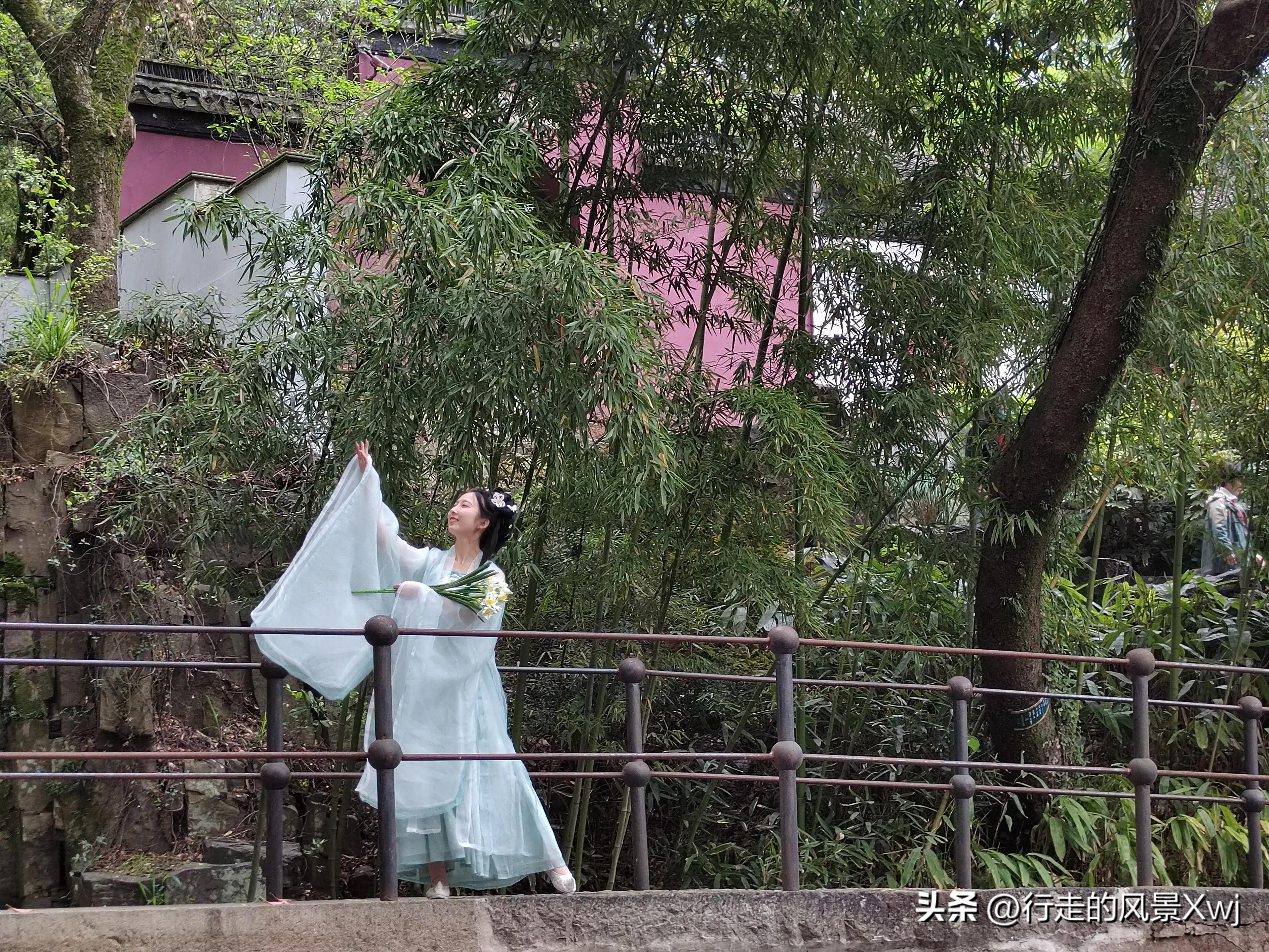 烟花三月下江南猜生肖,苏州江南农耕文化园烟花