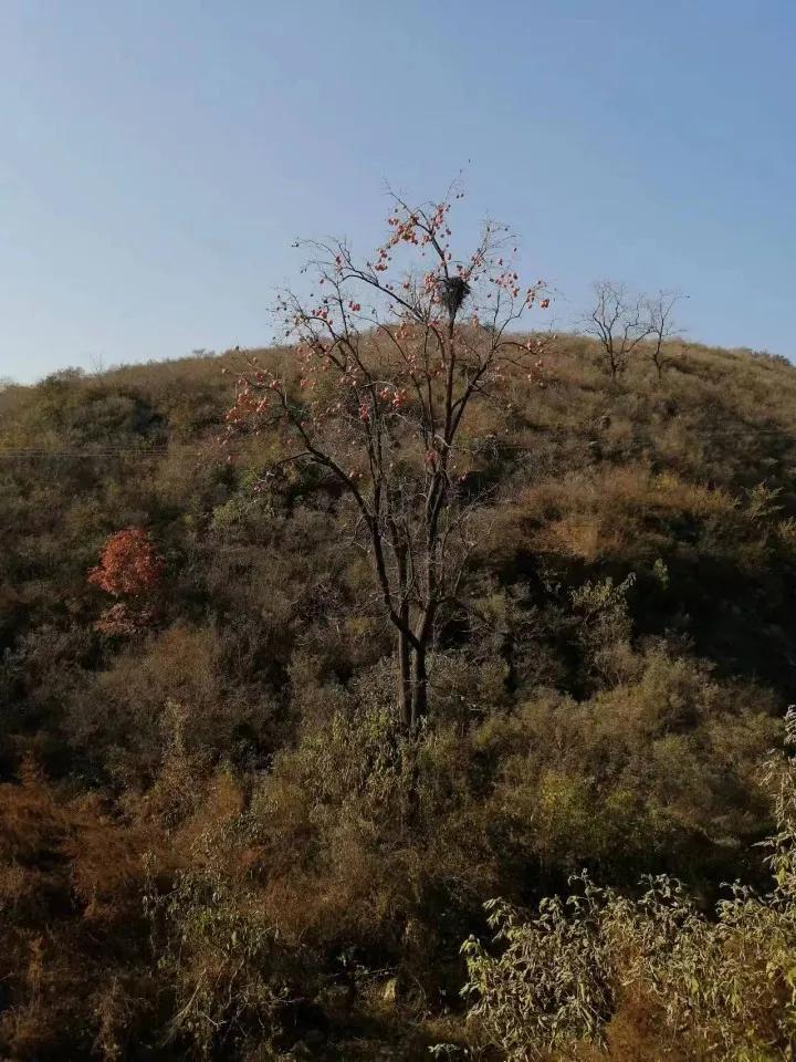 种田是农民的出路,农村农业农民的出路在哪里