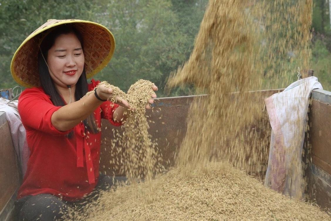 没人要的稻壳被大叔转手1吨卖660，你猜有啥用途？种菜养花效益高